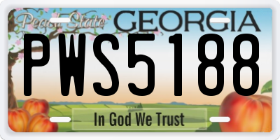 GA license plate PWS5188