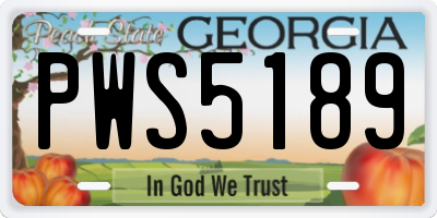 GA license plate PWS5189