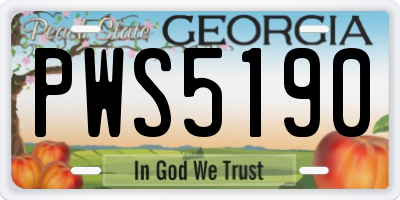 GA license plate PWS5190