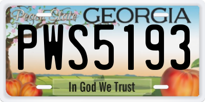GA license plate PWS5193