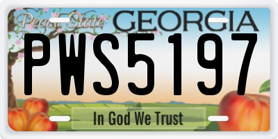 GA license plate PWS5197