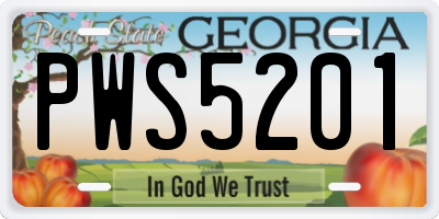 GA license plate PWS5201