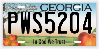 GA license plate PWS5204