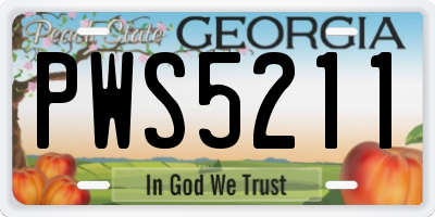 GA license plate PWS5211