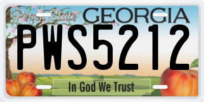 GA license plate PWS5212