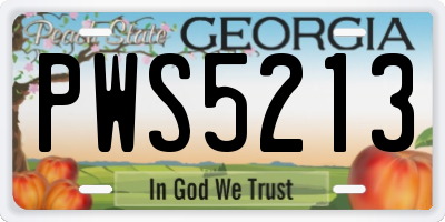 GA license plate PWS5213