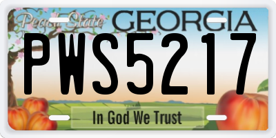 GA license plate PWS5217