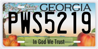 GA license plate PWS5219
