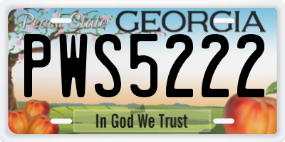 GA license plate PWS5222
