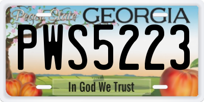 GA license plate PWS5223