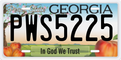 GA license plate PWS5225