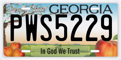 GA license plate PWS5229