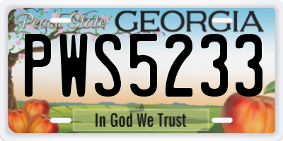GA license plate PWS5233