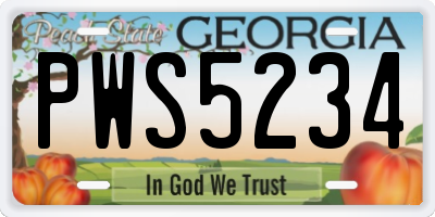 GA license plate PWS5234