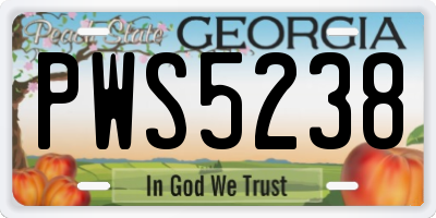 GA license plate PWS5238
