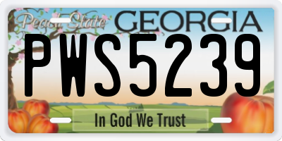 GA license plate PWS5239