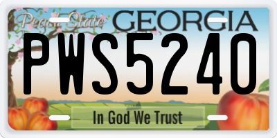 GA license plate PWS5240