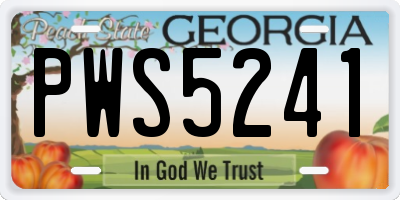 GA license plate PWS5241