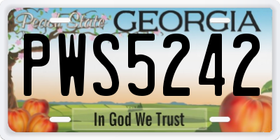 GA license plate PWS5242