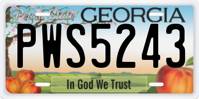 GA license plate PWS5243