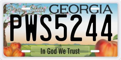 GA license plate PWS5244