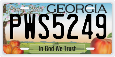 GA license plate PWS5249