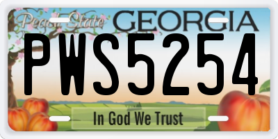 GA license plate PWS5254