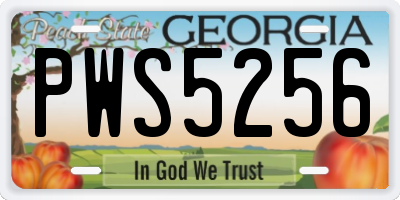 GA license plate PWS5256