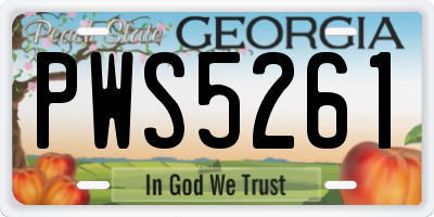 GA license plate PWS5261