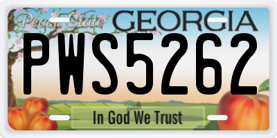 GA license plate PWS5262