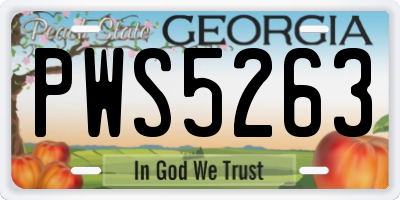 GA license plate PWS5263