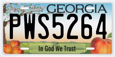 GA license plate PWS5264