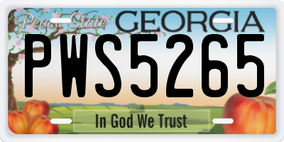 GA license plate PWS5265