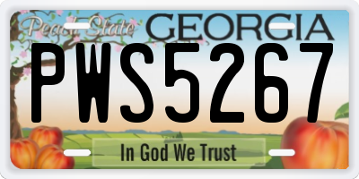 GA license plate PWS5267