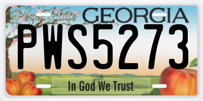 GA license plate PWS5273