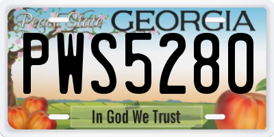 GA license plate PWS5280