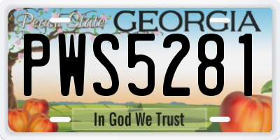 GA license plate PWS5281
