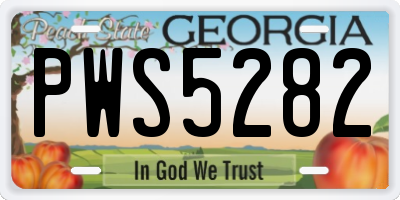 GA license plate PWS5282