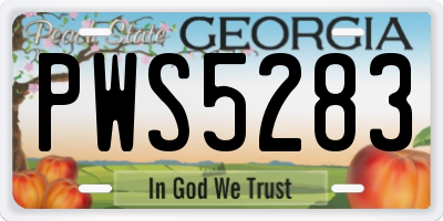 GA license plate PWS5283
