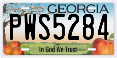 GA license plate PWS5284