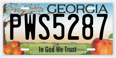 GA license plate PWS5287