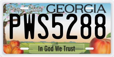 GA license plate PWS5288