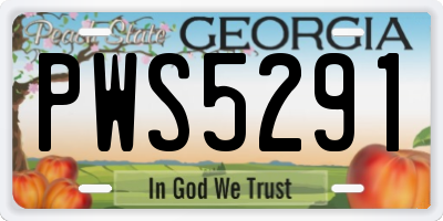 GA license plate PWS5291