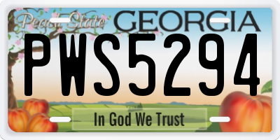 GA license plate PWS5294
