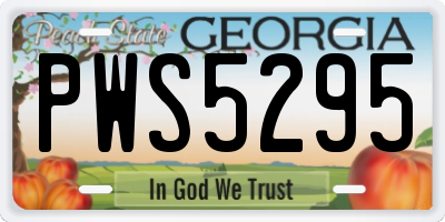GA license plate PWS5295