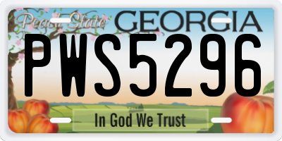 GA license plate PWS5296