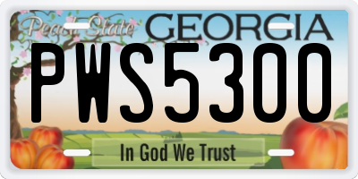 GA license plate PWS5300