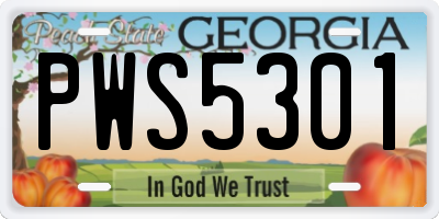 GA license plate PWS5301