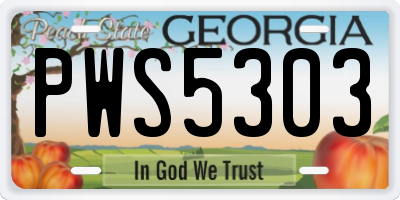 GA license plate PWS5303
