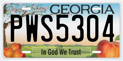 GA license plate PWS5304